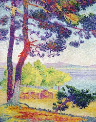 Ettermiddag i Pardigon, Var, 1907